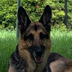 Meet your Posher, Ava